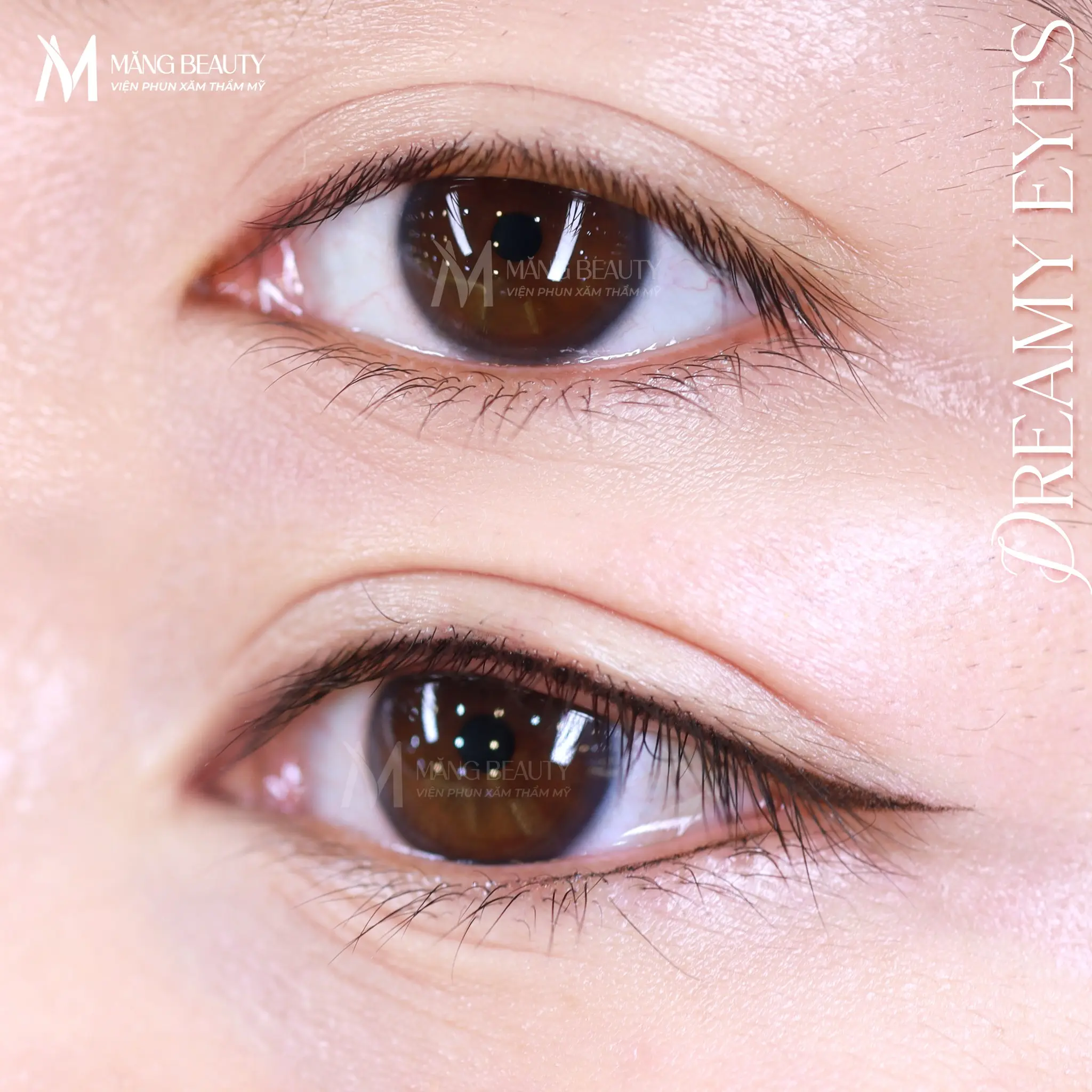 Phun mí Dreamy Eyes cho đôi mắt to tròn