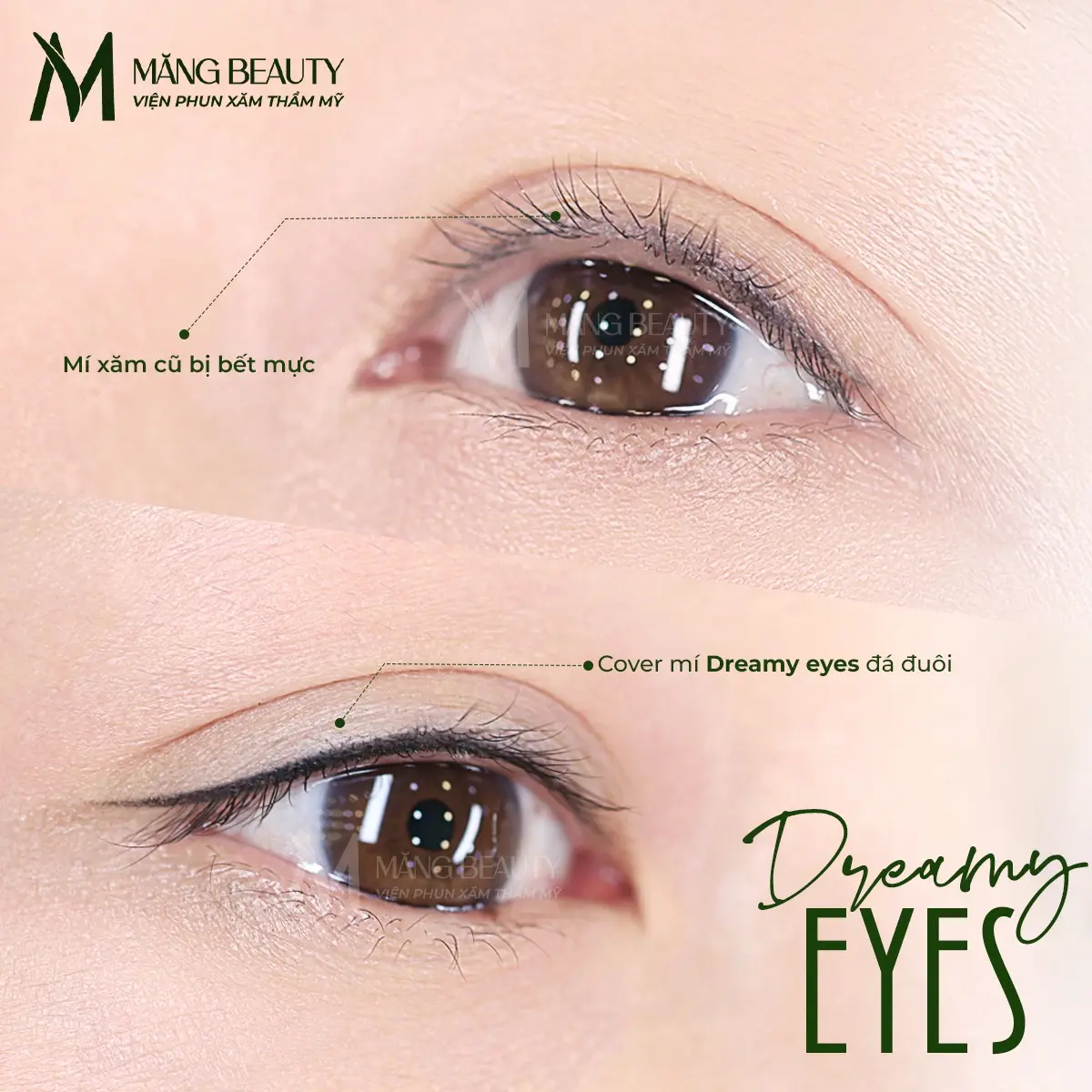 Phun mí Dreamy Eyes phù hợp với mọi khách hàng