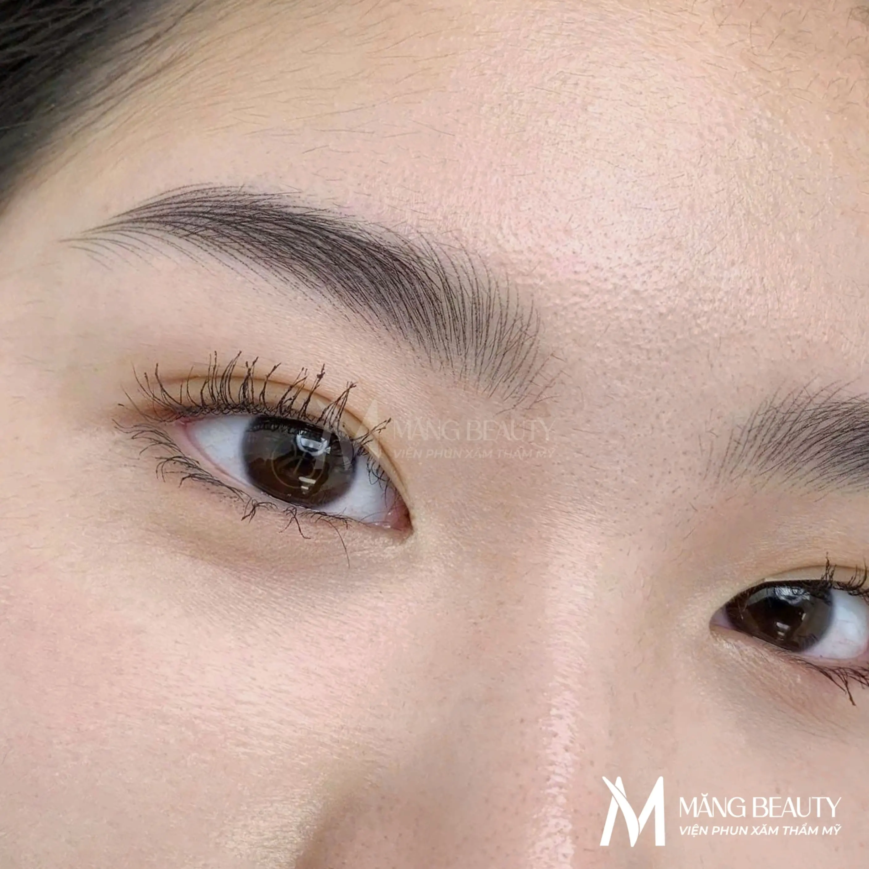 Chân mày sợi Signature Nano Brows tại Măng Beauty