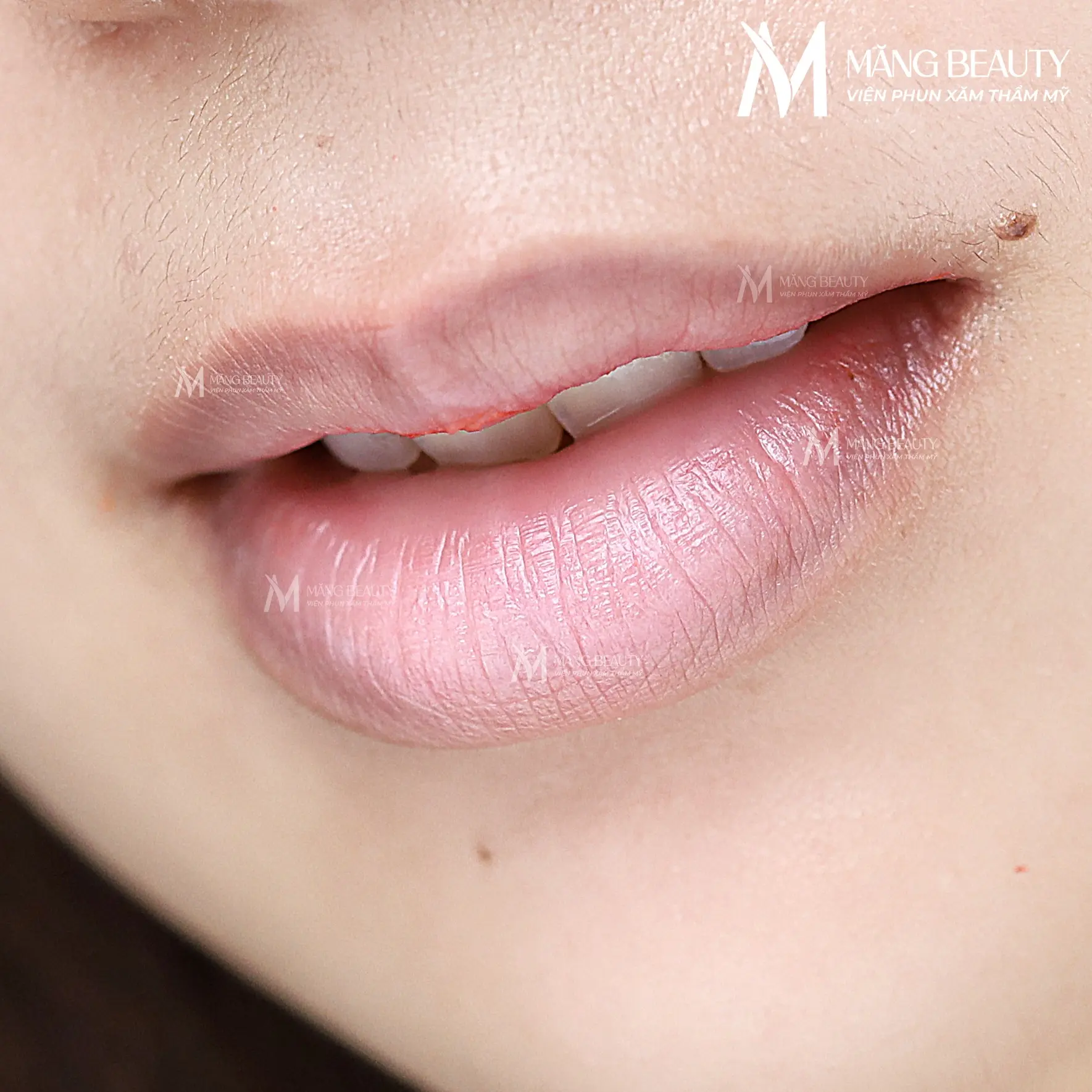 Phun môi Ombre Glossy Lips phù hợp với nhiều đối tượng